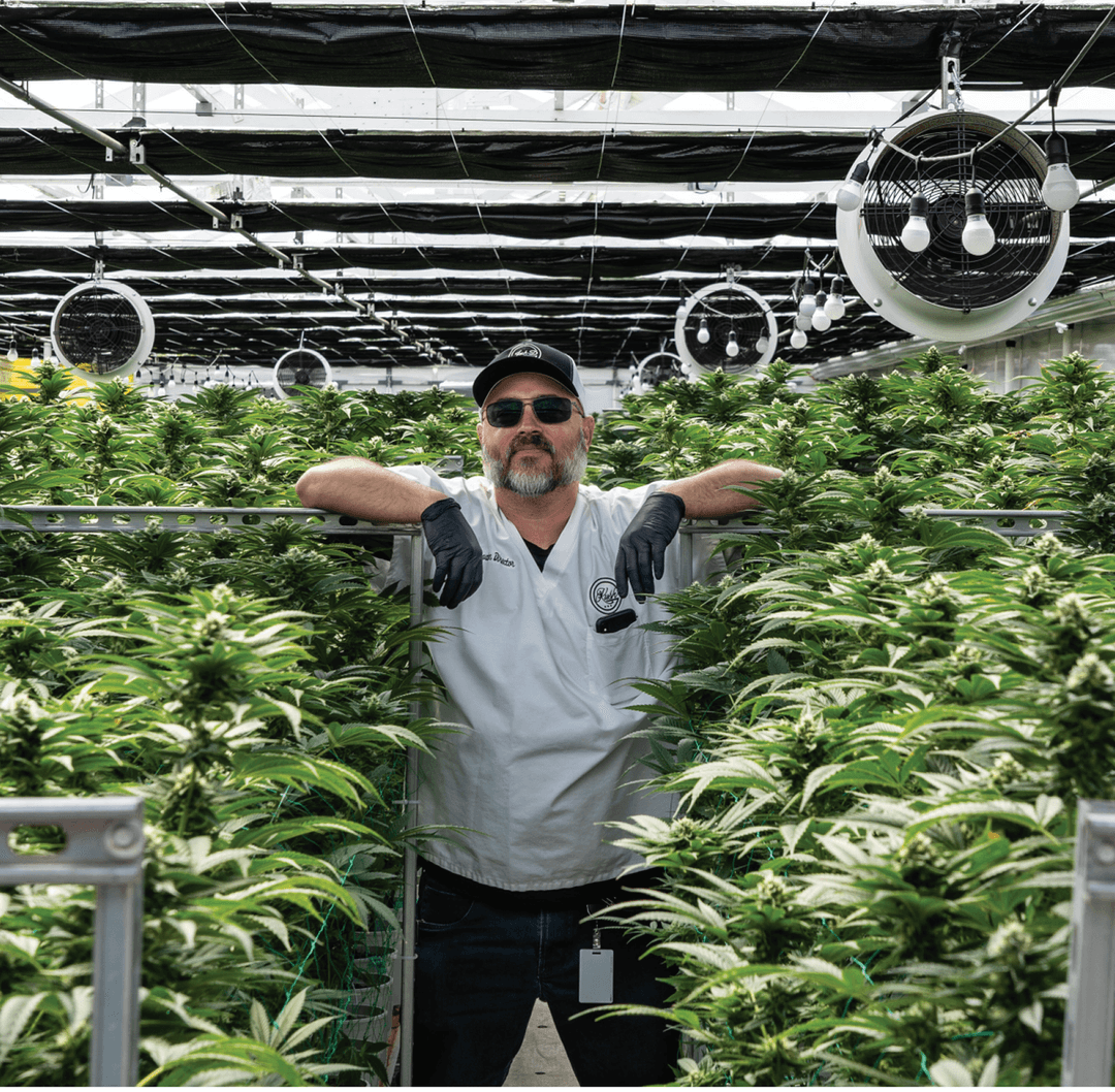 OG Kush: A Quarter Century of Gas