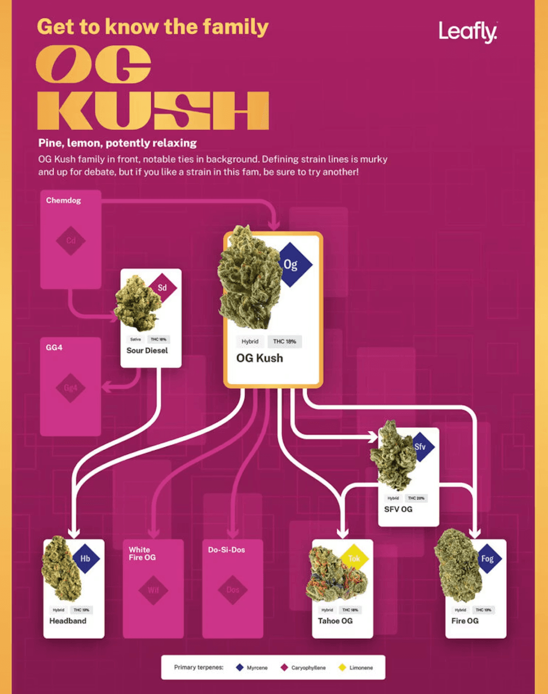 Why Does OG Kush Feel So Perfectly Balanced?