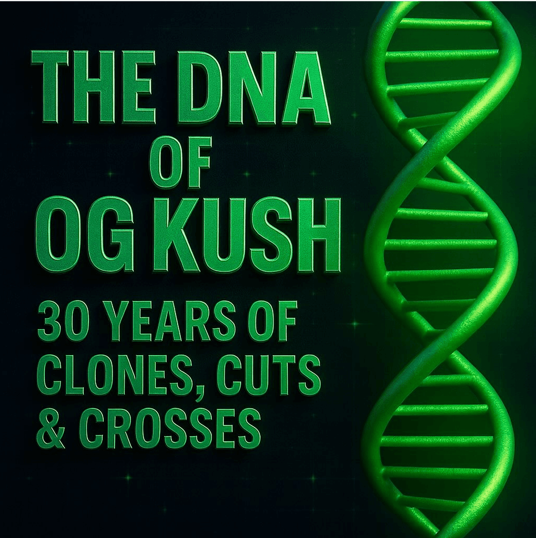 The complete DNA of OG Kush